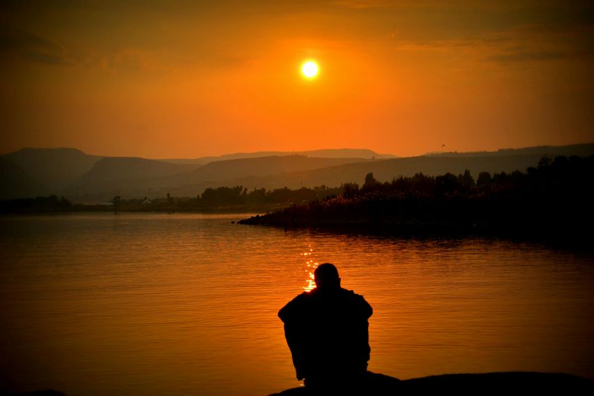 Depressione Endogena - Fiori di Bach Italia